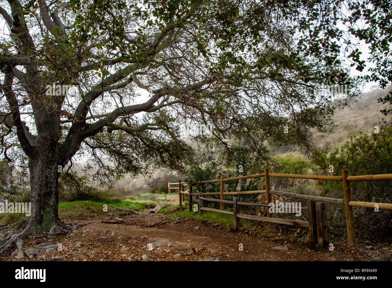 Mission Trails Regional Park Foto de stock