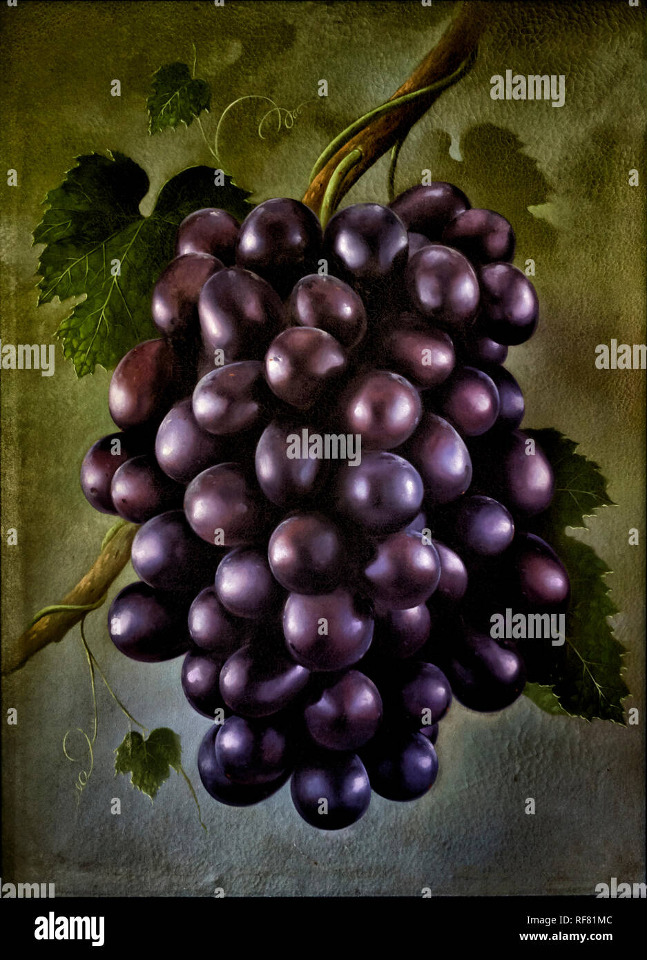 Racimo de uvas png imágenes | PNGWing