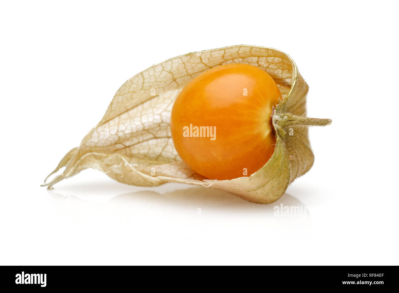 Physalis fruto o baya de oro aislado sobre fondo blanco Fotografía de stock  - Alamy