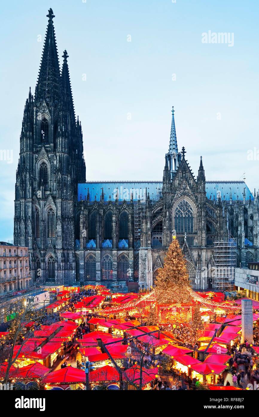 Mercado de Navidad en la Catedral de Colonia en la noche, Colonia, Renania del Norte-Westfalia, Alemania Foto de stock