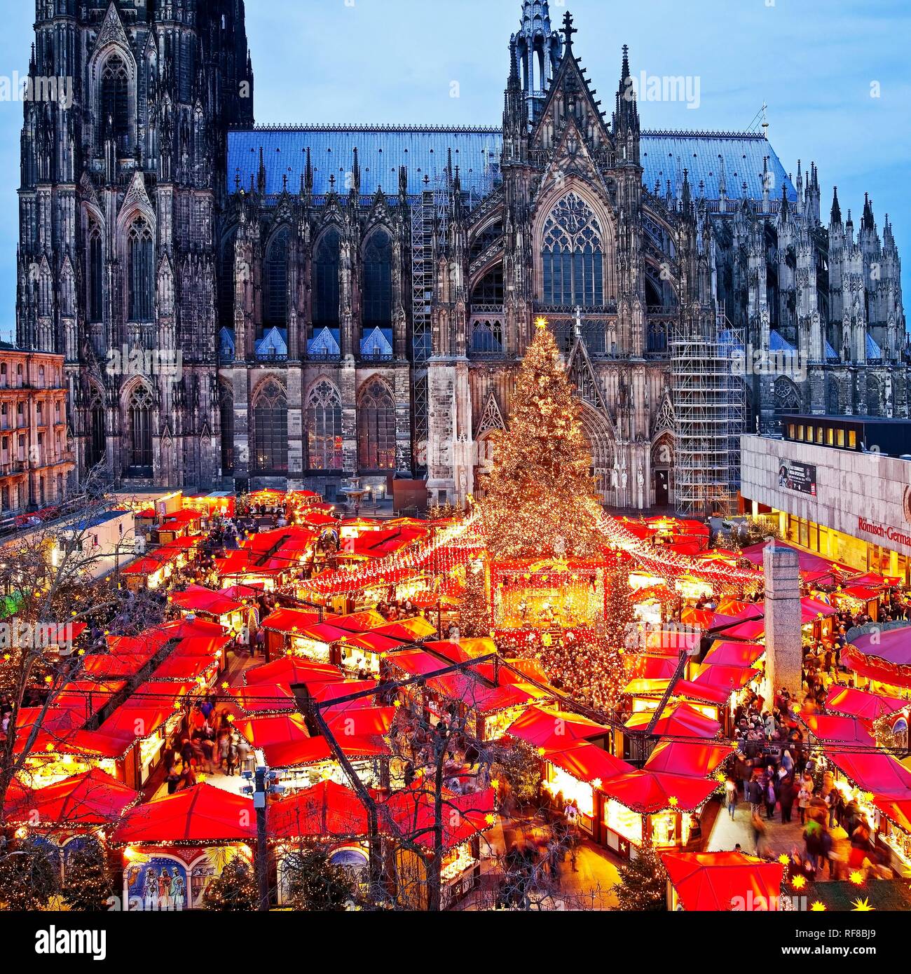 Mercado de Navidad en la Catedral de Colonia en la noche, Colonia, Renania del Norte-Westfalia, Alemania Foto de stock