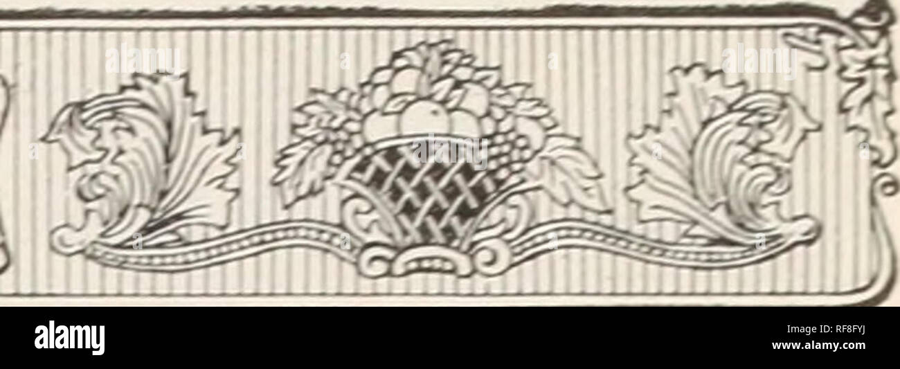 Catálogo De La Mount Hope Viveros Viveros Horticultura