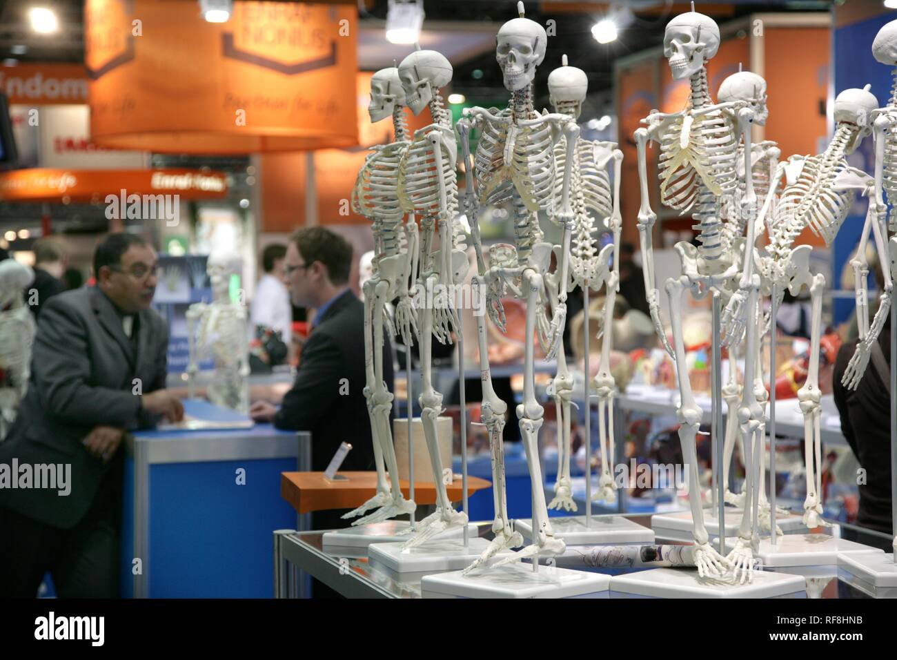 Maniquíes anatómicos, Medica 2007, la feria comercial más grande del mundo de equipos y tecnologías médicas, Duesseldorf Foto de stock