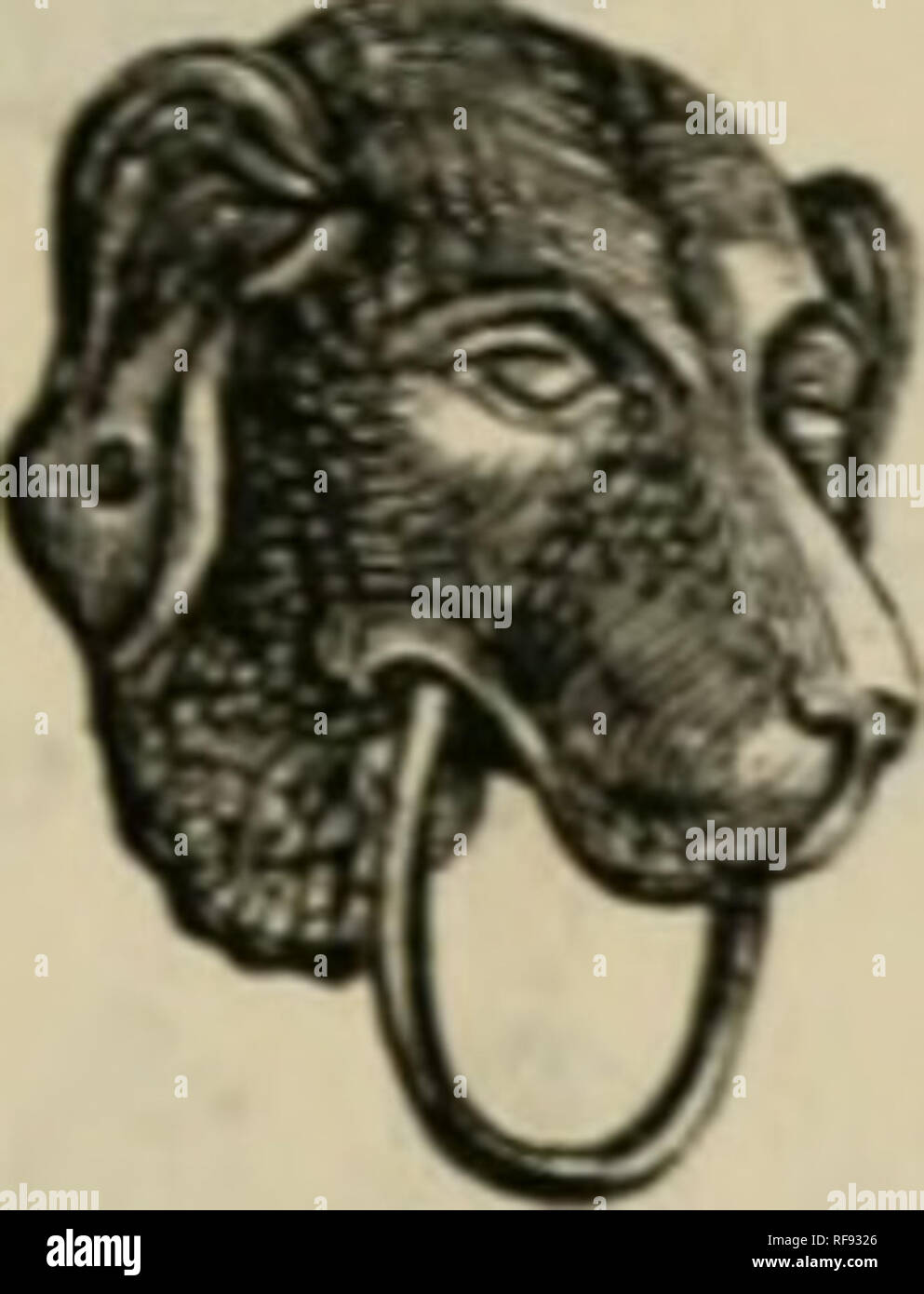 Catálogo de mejorado y patentado y accesorios estable, latón, bronce y  chapado en níquel; corral electrodomésticos, perreras, puertas y ventanas,  &c., &amp;amp;c.. Samuel S. dobladas (Empresa : Nueva York, N. Y. );
