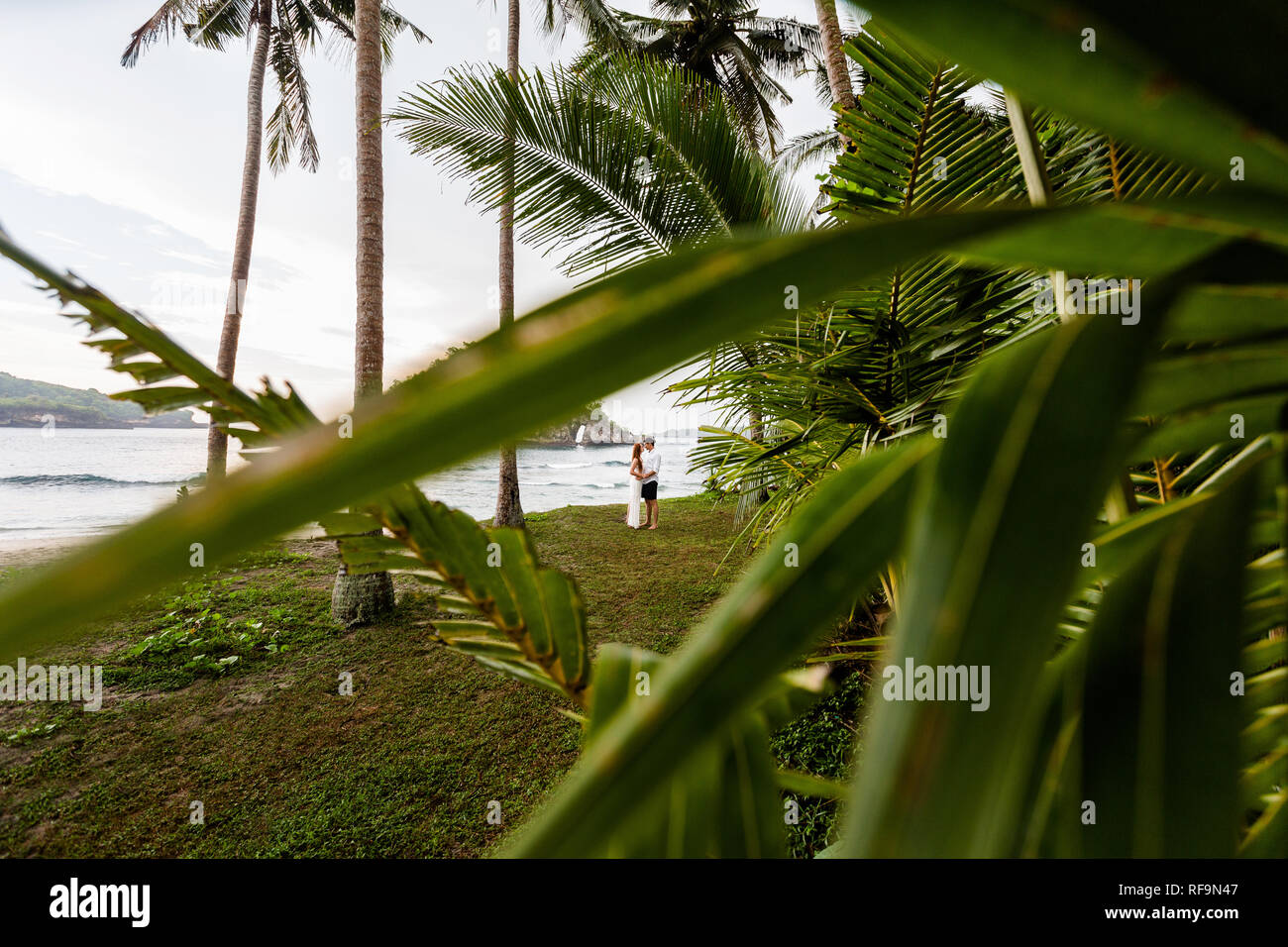 Pareja joven en la orilla del mar abrazando y frotando la nariz el uno al otro. La imagen fue tomada a través de las ramas de palmeras. Foto de stock