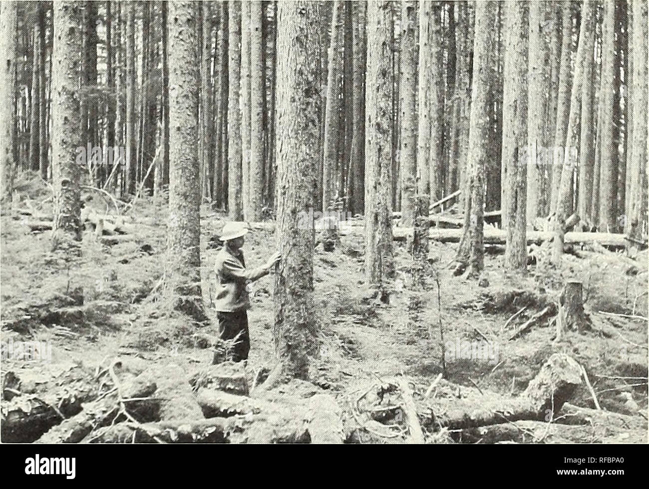 alaska bolsagage fees