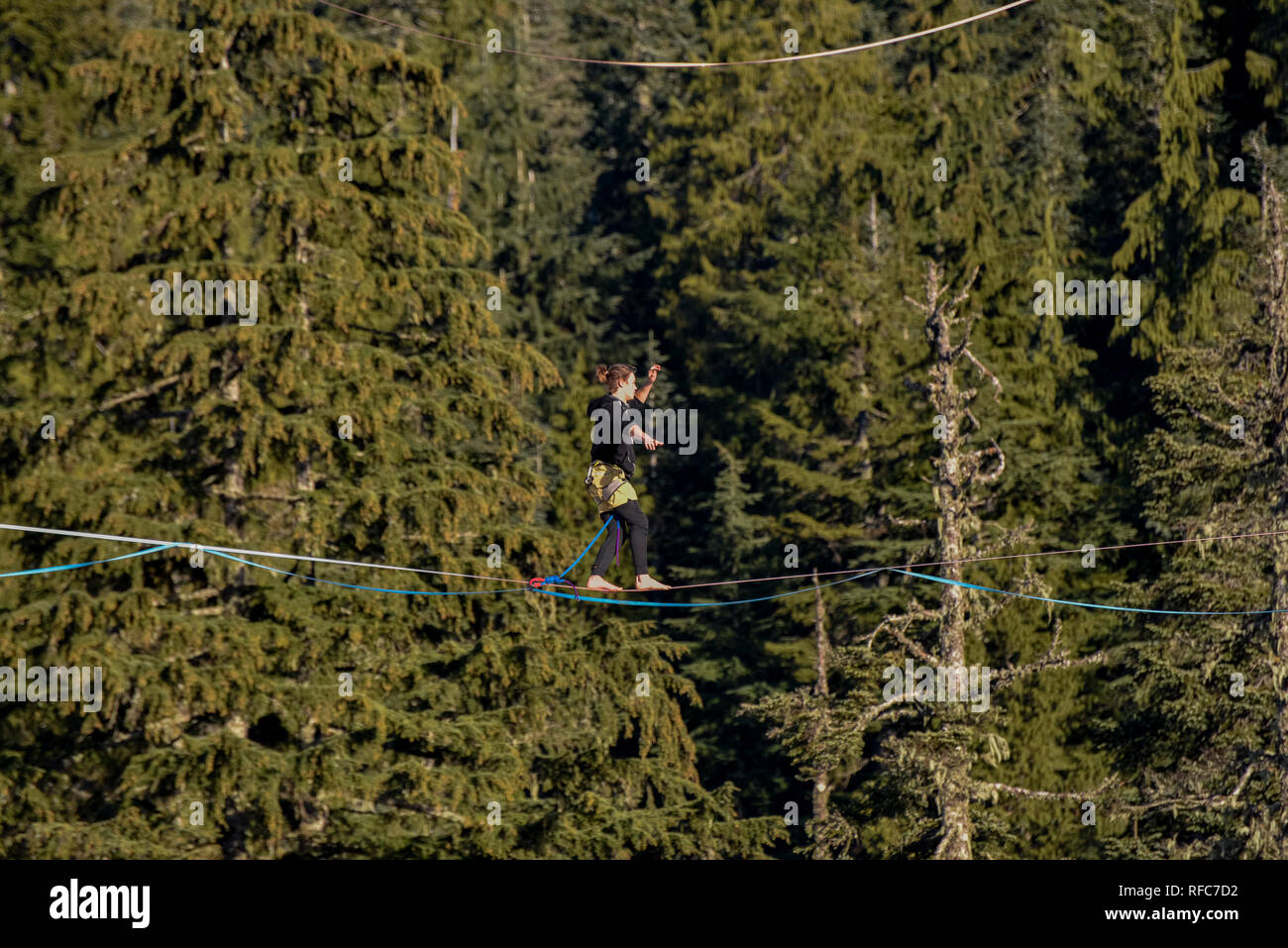 Slackline Walker, alta línea entre árboles, ciprés Provincial Park, West Vancouver, British Columbia, Canadá Foto de stock