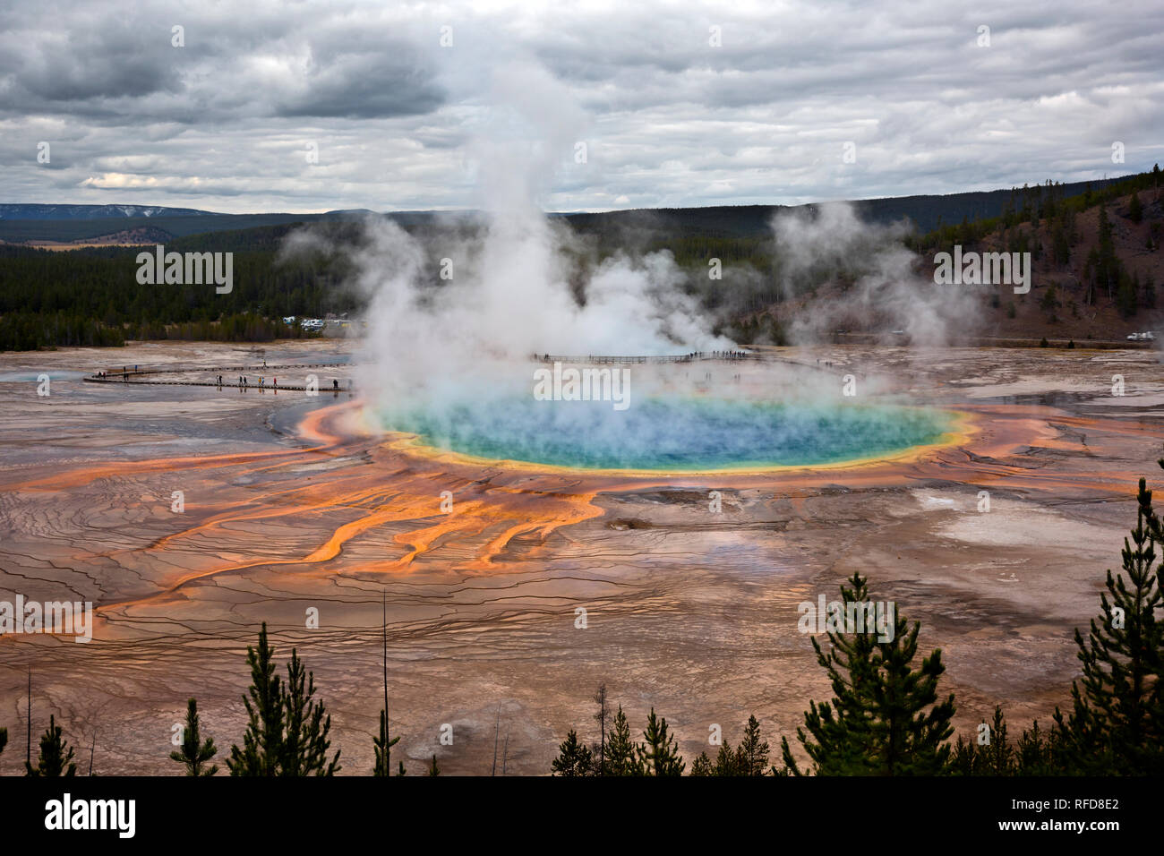 WY02962-00...Wyoming - Grand Prismatic Spring desde el mirador que hay en el área de la Cuenca del Géiser de Midway del Parque Nacional de Yellowstone. Foto de stock