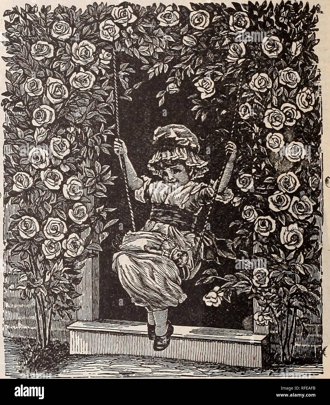 . Catálogo útil del invernadero y plantas de jardín. Viveros de