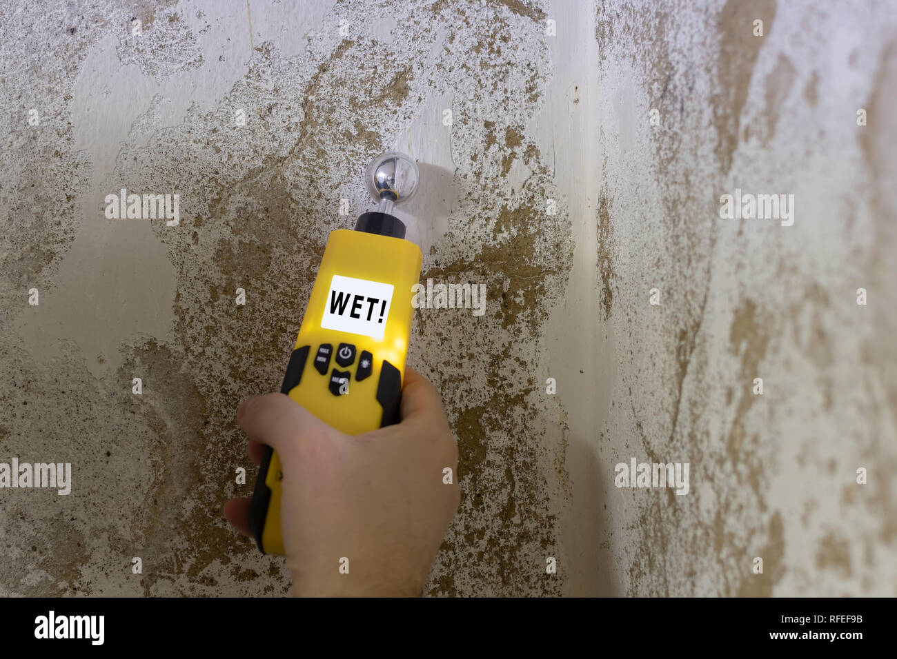 La humedad se mide en una pared en el sótano. Instrumento indica una pared húmeda. Foto de stock