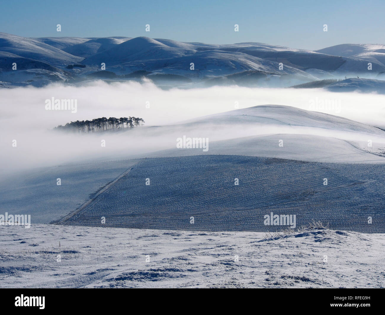 Snowy Tierras Altas Meridionales de Langlaw Hill, cerca de Broughton, Escocia Foto de stock
