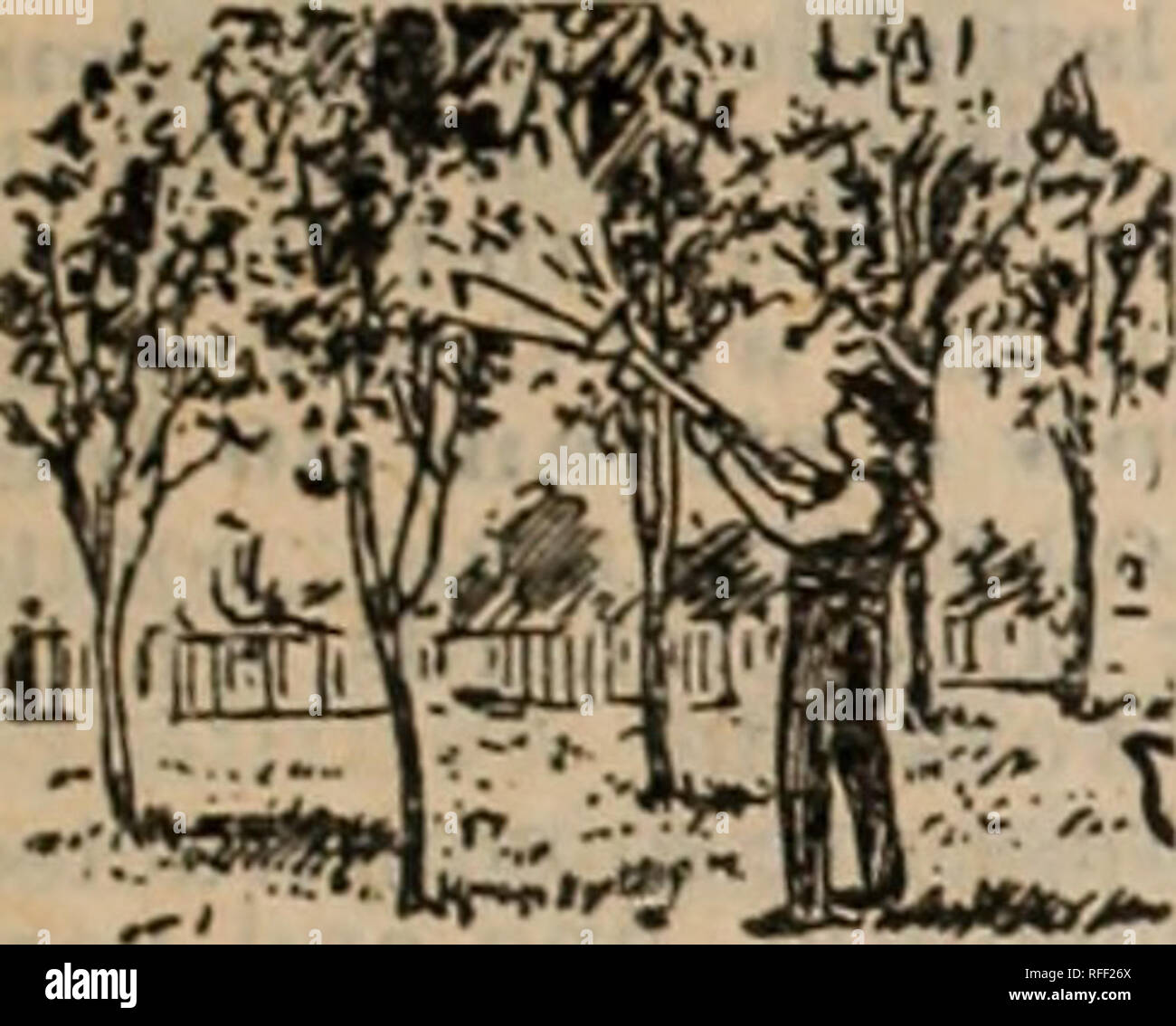 . Aceptar las semillas. Viveros de Indianápolis, Indiana; catálogos Catálogos de semillas de hortalizas, flores de semillas; implementos agrícolas catálogos catálogos. . Por favor tenga en cuenta que estas imágenes son extraídas de la página escaneada imágenes que podrían haber sido mejoradas digitalmente para mejorar la legibilidad, la coloración y el aspecto de estas ilustraciones pueden no parecerse perfectamente a la obra original. J. A. Everitt (firme), Everitt, J.; Henry G. Gilbert viveros y el comercio de semillas Catálogo Colección. Indianápolis, Indiana : J. A. Everitt Foto de stock