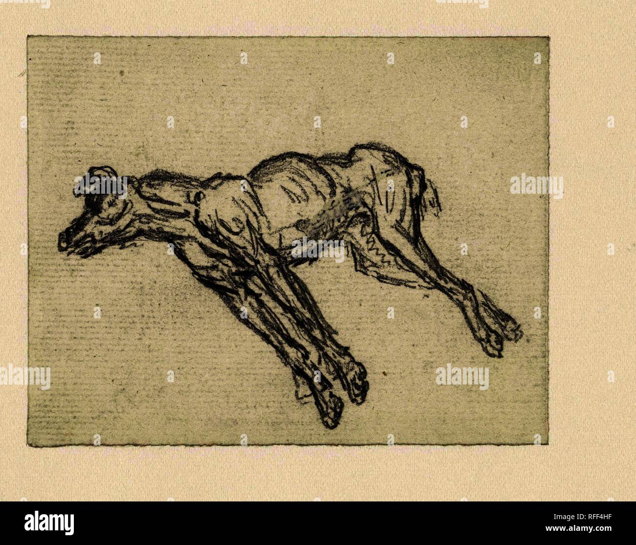 Perro muerto dibujo fotografías e imágenes de alta resolución - Alamy