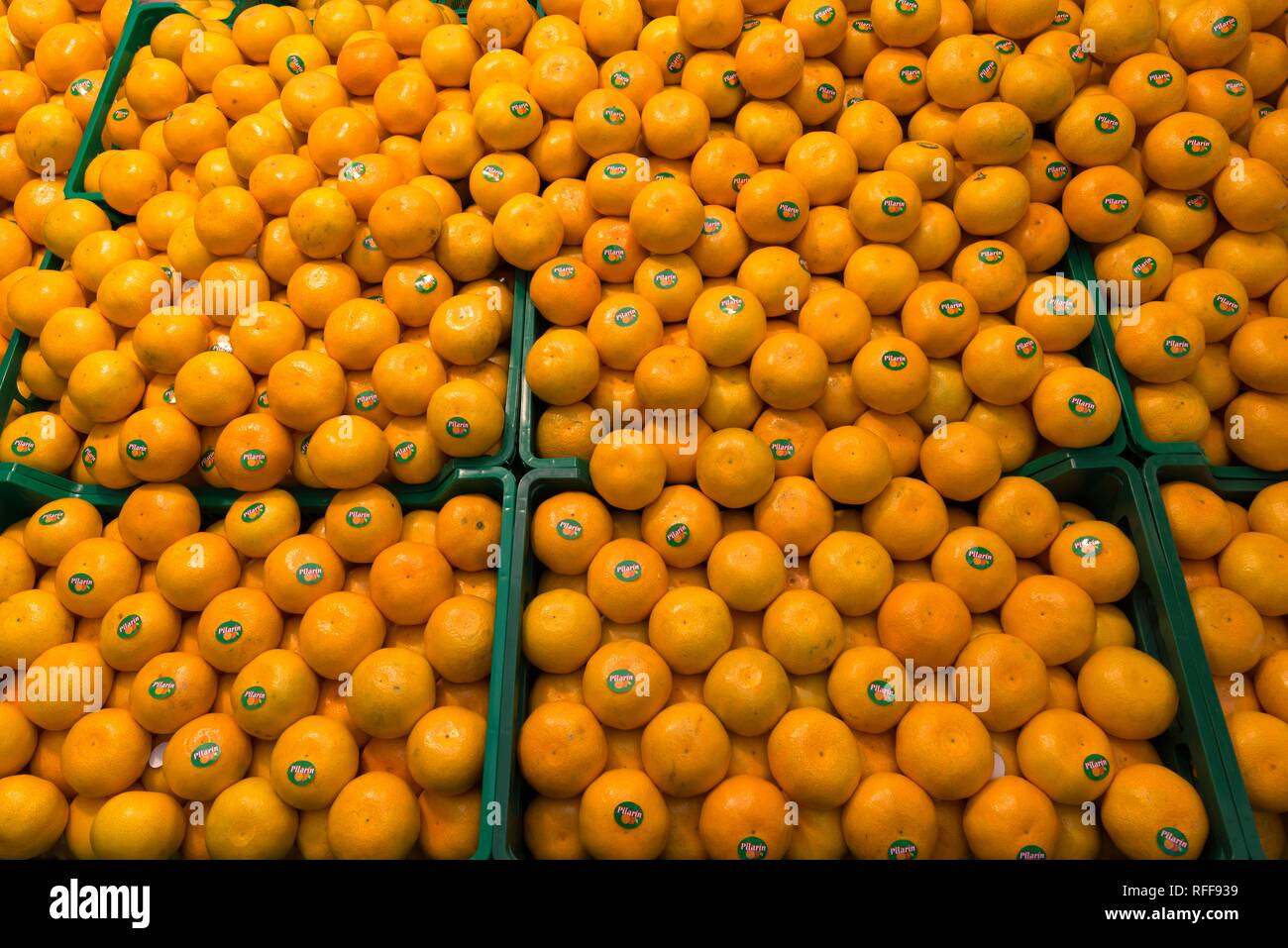 Mandarinas (Citrus reticulata) en cajas en un puesto de frutas, Países Bajos Foto de stock