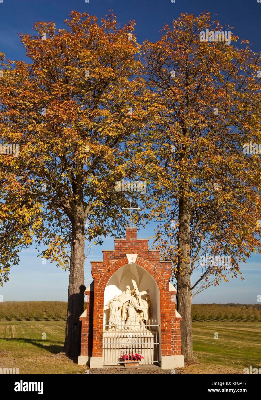 Camino de la cruz en la estación de otoño, Stromberg, Oelde, Münsterland, Renania del Norte-Westfalia, Alemania Foto de stock