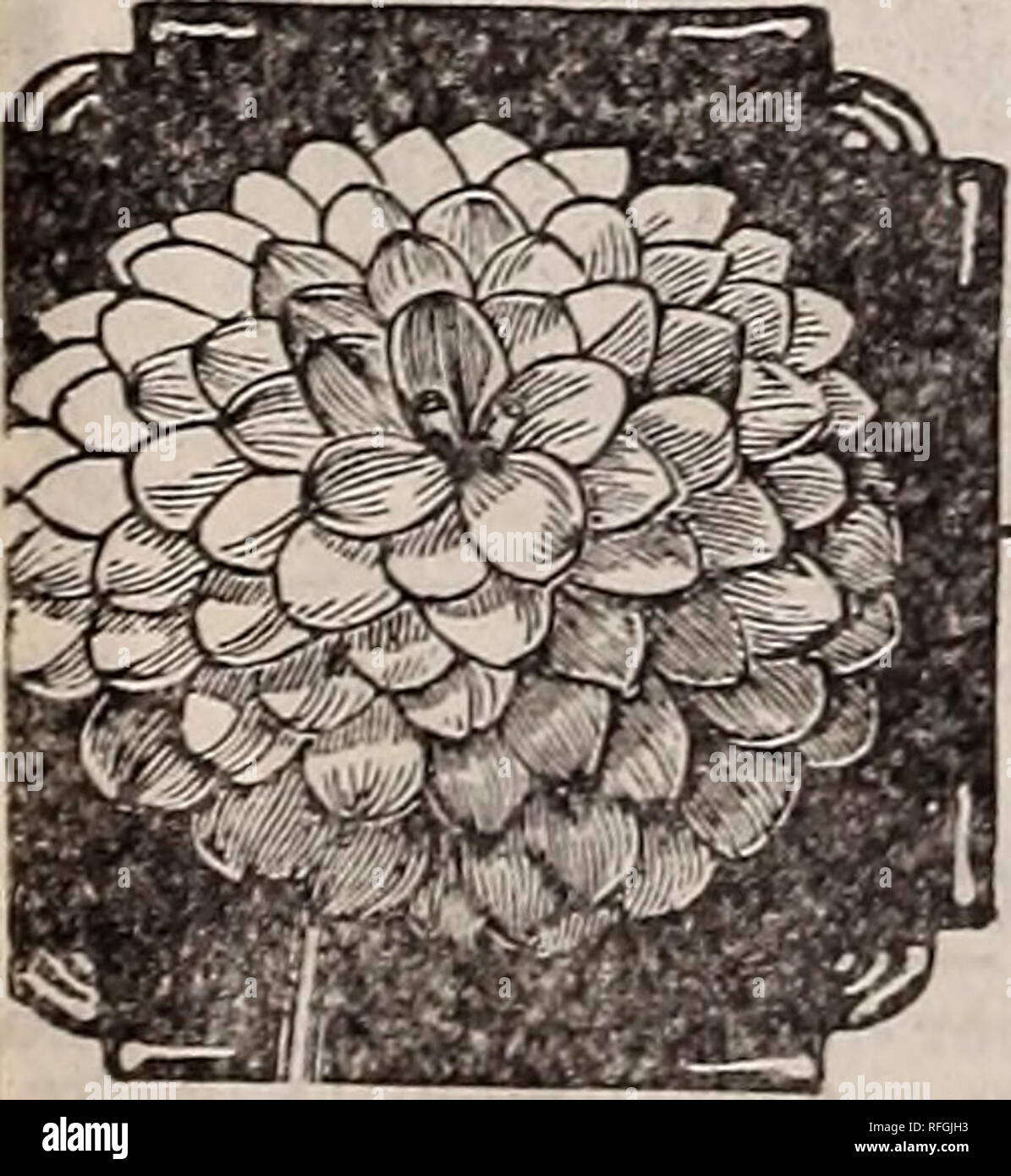 Semillas Y Plantas 1900 Viveros Horticultura Catalogos De Ohio Viveros Catalogos De Ohio Semillas De Hortalizas Flores De Catalogos Catalogos Catalogos Frutas Plantas Ornamentales Catalogos De Estilos Mas Populares Immeni Semillas Y Plantas 1900 Viveros Horticultura Catalogos De Ohio Viveros Catalogos De Ohio Semillas De Hortalizas Flores De Catalogos Catalogos Catalogos Frutas Plantas Ornamentales Catalogos De Estilos Mas Populares Immeni