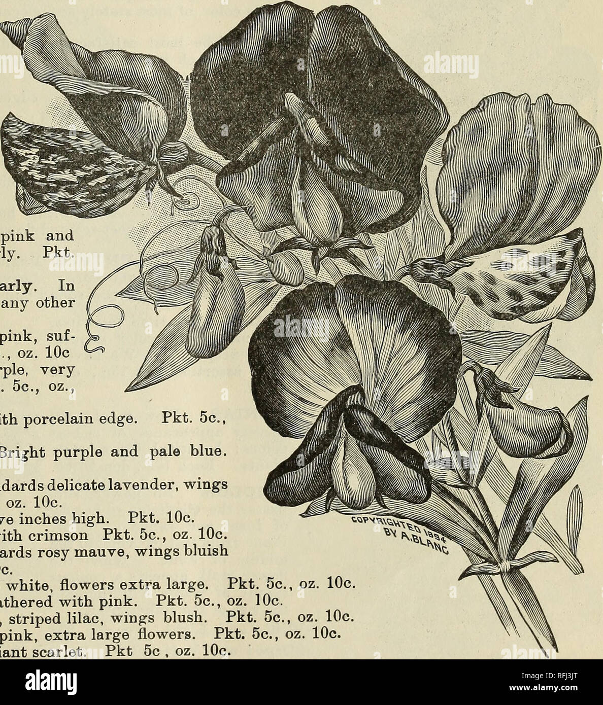 Catálogo anual de semillas : hortalizas, campo y semillas de flores. Viveros en Nueva York (estado) Buffalo catálogos; semillas de hortalizas Catálogos Catálogos de semillas; pastos; catálogos de semillas de flores; Catálogo anual de semillas : hortalizas, campo y semillas de flores. Viveros en Nueva York (estado) Buffalo catálogos; semillas de hortalizas Catálogos Catálogos de semillas; pastos; catálogos de semillas de flores;