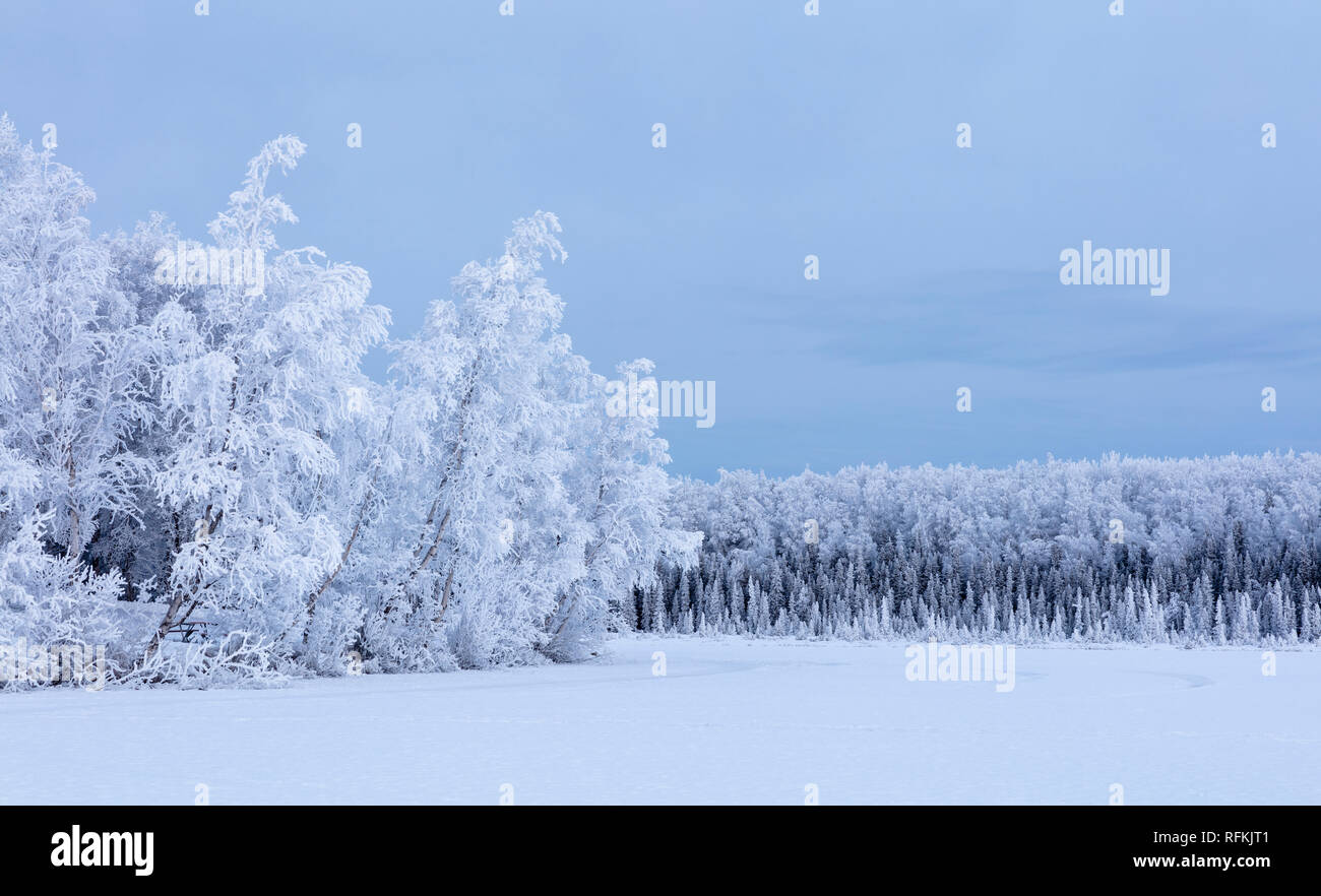 La línea de árboles cubiertos de escarcha Clunie Lago en Southcentral Alaska. Foto de stock
