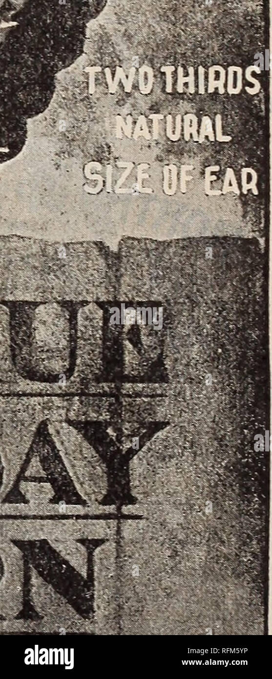 Buenas Semillas A Precios Justos 19 Viveros De Minneapolis Minnesota Catalogos Catalogos De Semillas De Hortalizas Semillas De Gramineas Flores De Catalogos Catalogos Nuestro Maiz Wlicn Mercer Hemos Introducido Hace
