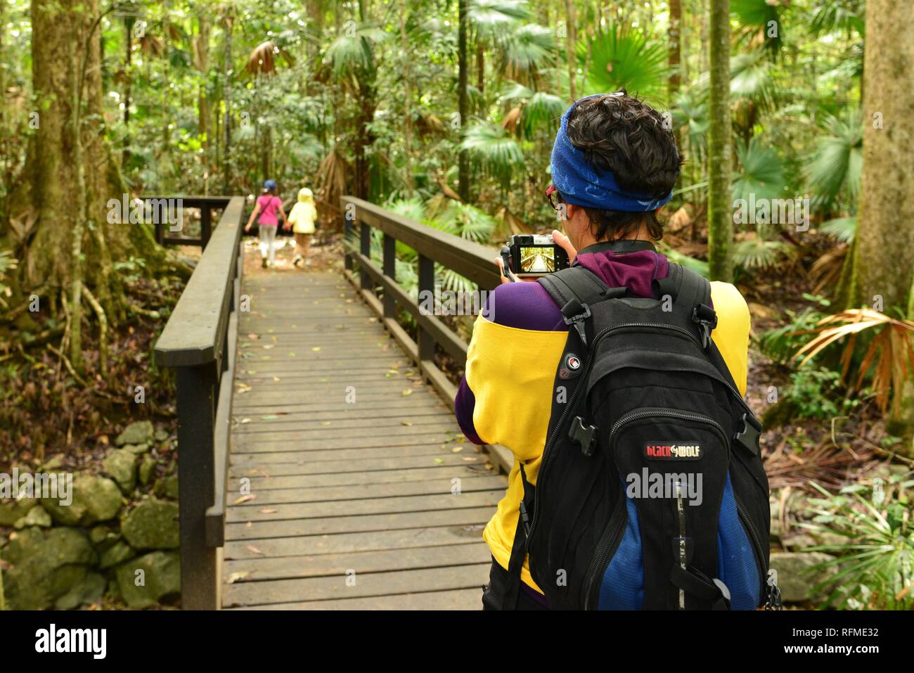 Una madre utiliza una cámara para tomar una foto de sus hijos caminar a través de una selva tropical, el Parque Nacional de Eungella, Queensland, Australia Foto de stock