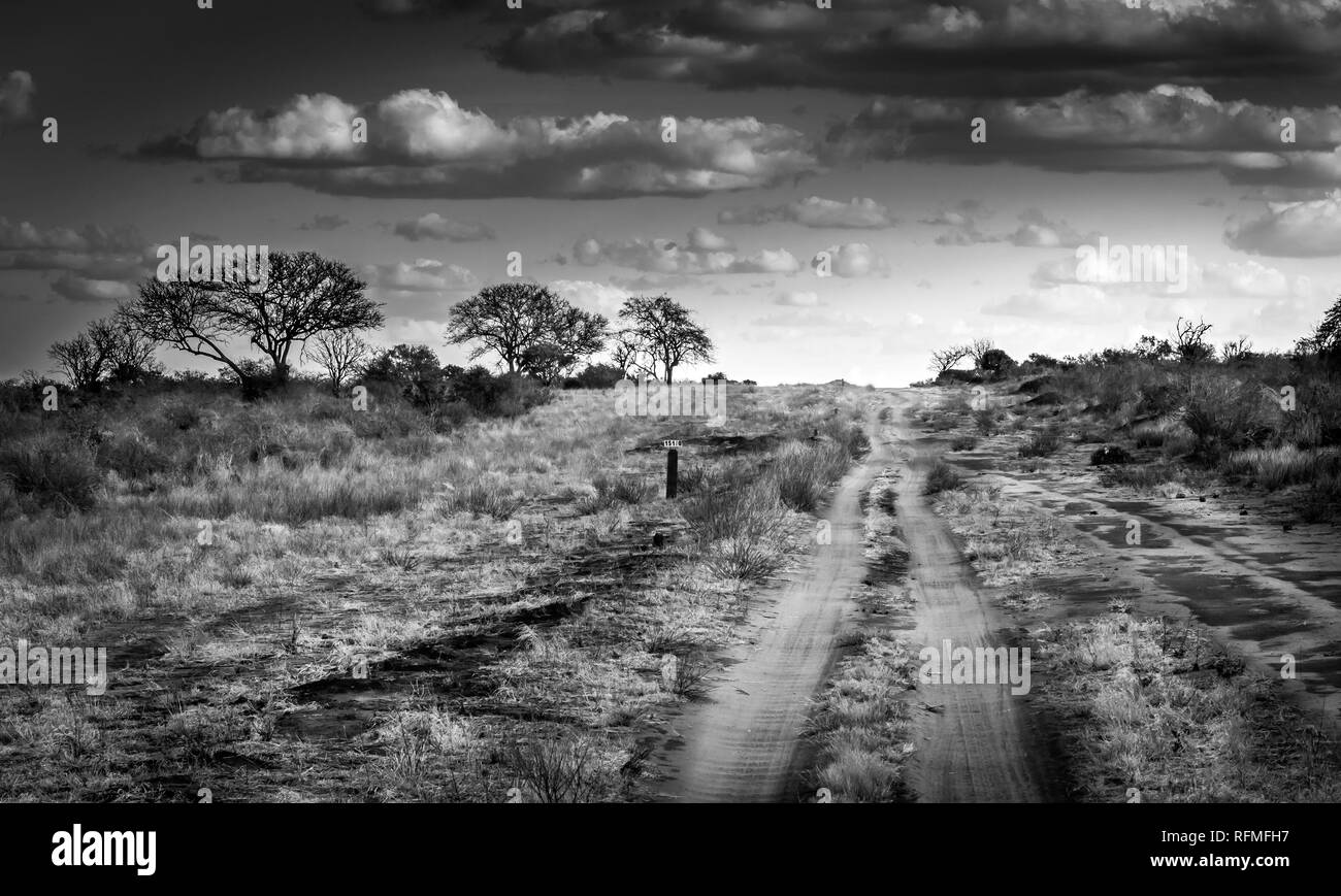 Impresionante paisaje de llanuras de sabana y carretera de safari en Kenia Foto de stock