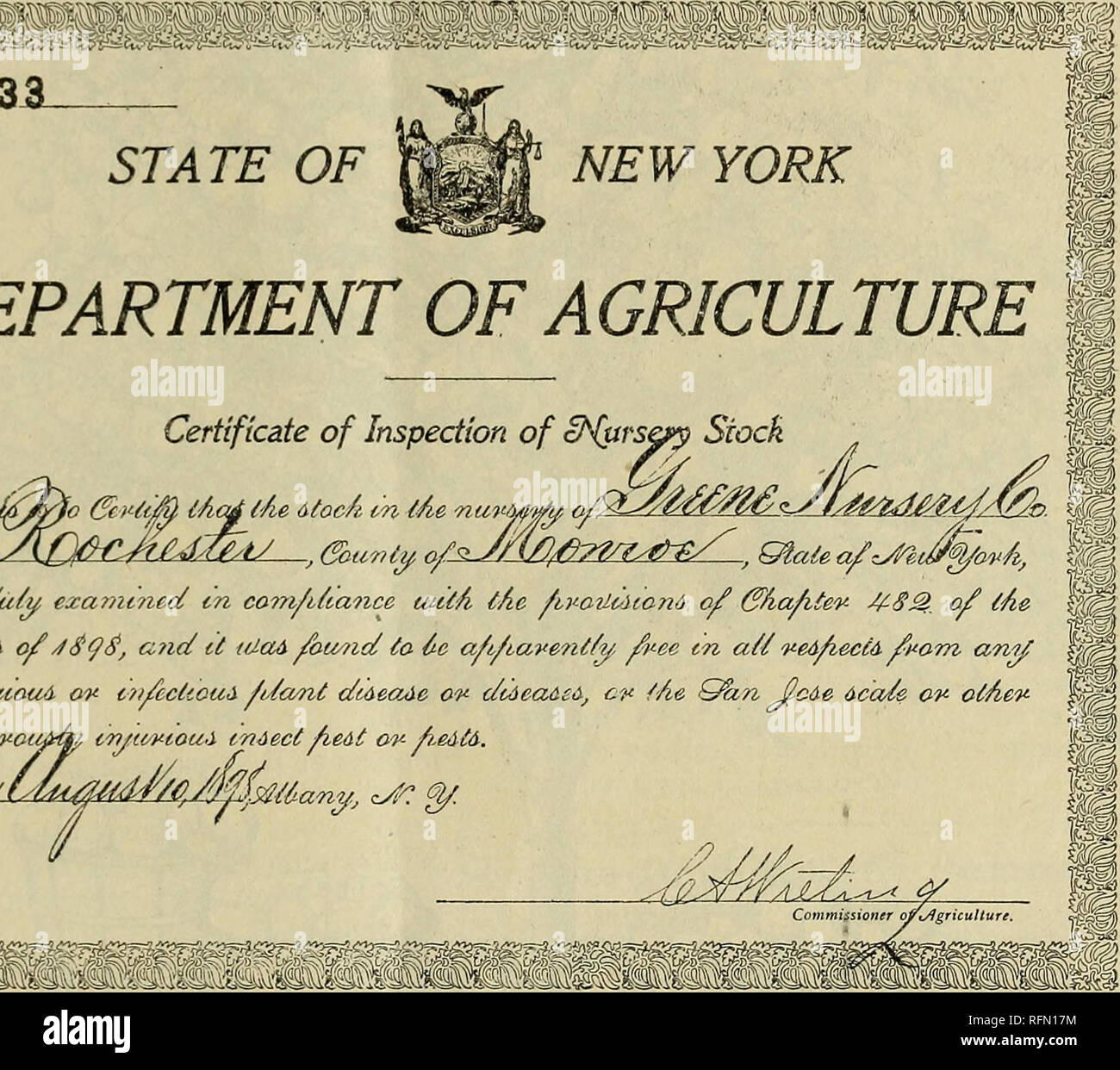 . Catálogo de verano y otoño : macetas con plantas de fresa, árboles y plantas ornamentales. Viveros en Nueva York (estado) Catálogos de Rochester; catálogos de plántulas de árboles frutales; fruto de los catálogos. Certificado de inspección de cN&rs* "Aod tActfjAe 6-toc/i cn tAe nu?> itiaA c/uty, ezami?icc£ m com/tttance tuti *3^aui& ofoa?id se t/JaA encontró a 6e a/t/i corUapiouA o c?s/cctioa<i ///a<?zt diaectAc ov (/(un dcvnyevoiifify iwjtwtoui indect fietit o fie&t&. Por favor tenga en cuenta que estas imágenes son extraídas de la página escaneada imágenes que podrían haber sido mejoradas digitalmente para legibilidad: una coloración Foto de stock