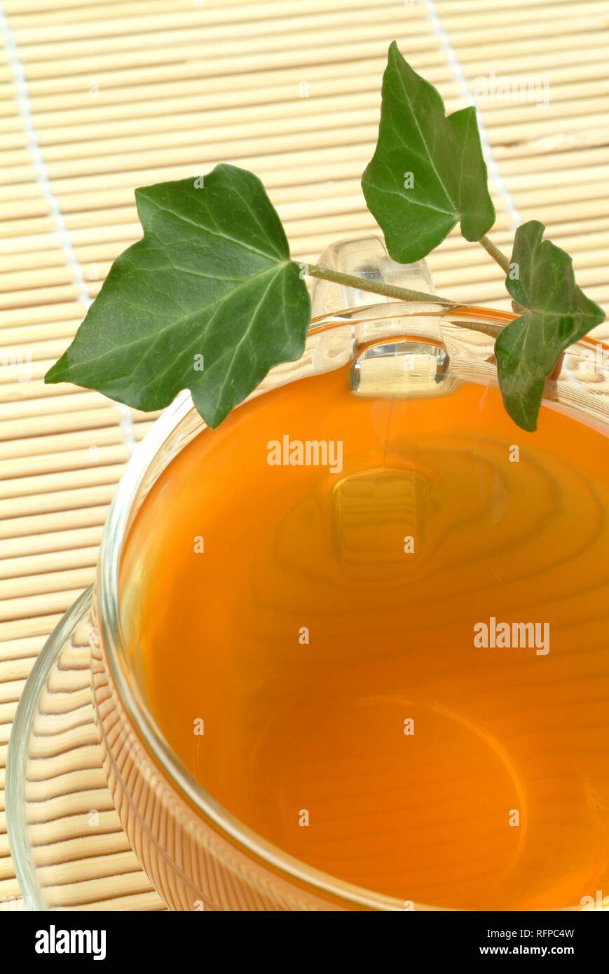 El té hecho de hiedra común, herbtea, té medicinal, Hedera helix, Edera, Foto de stock