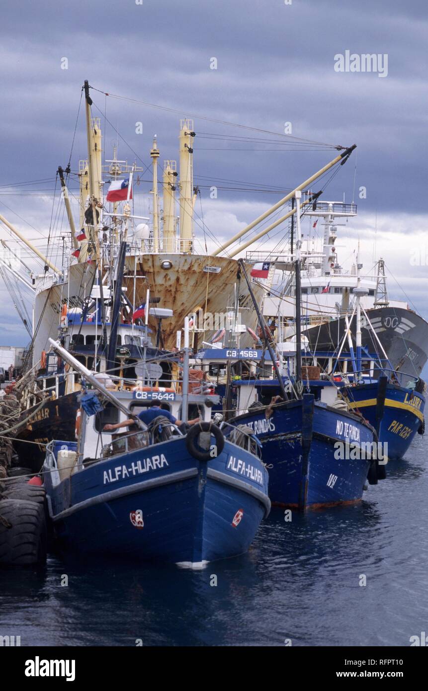 CHL, Chile, Patagonia, Punta Arenas: fletes y el puerto pesquero. Foto de stock