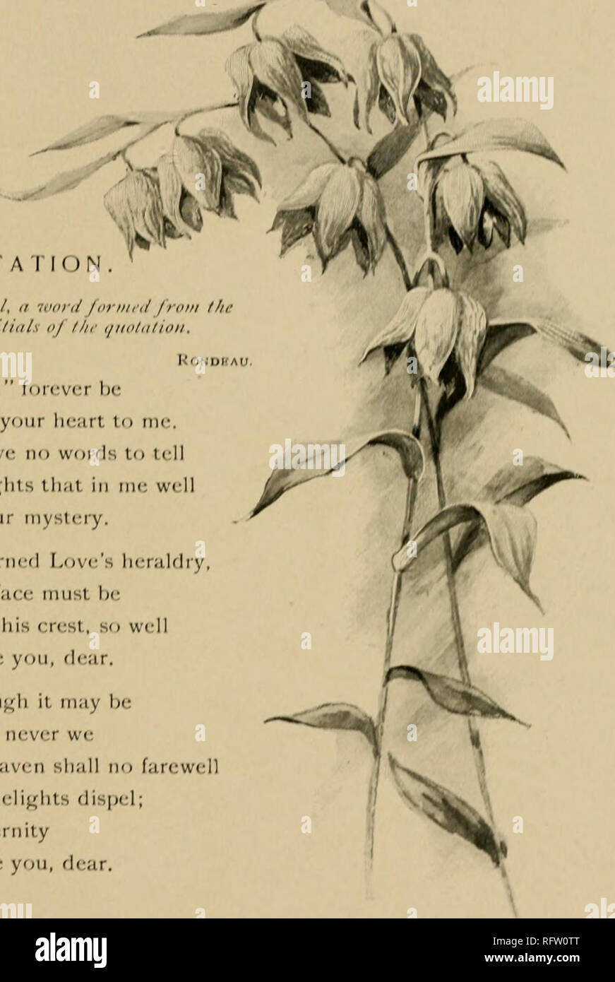 H E A T Fotos E Imagenes De Stock Pagina 233 Alamy