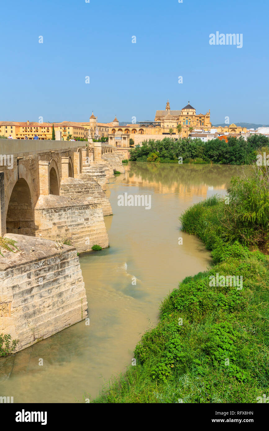 Puente Romano (Puente Romano) por el río Guadalquivir con la Catedral Mezquita de Córdoba, en el fondo, Sitio del Patrimonio Mundial de la UNESCO, Andalucía, España Foto de stock