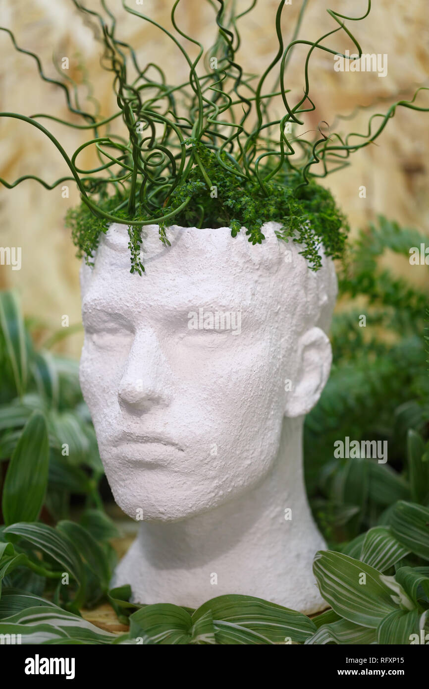 Quinto sátira atención Macetas para plantas de interior en la forma de una cabeza de hombre, que  hicieron de yeso. Vista frontal Fotografía de stock - Alamy