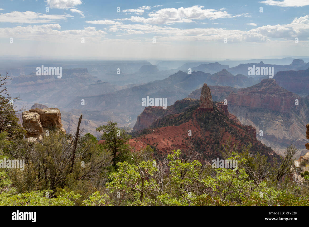 Vista desde el punto de vista Imperial (buscando aprox SE), Grand Canyon North Rim, Arizona, Estados Unidos. Foto de stock