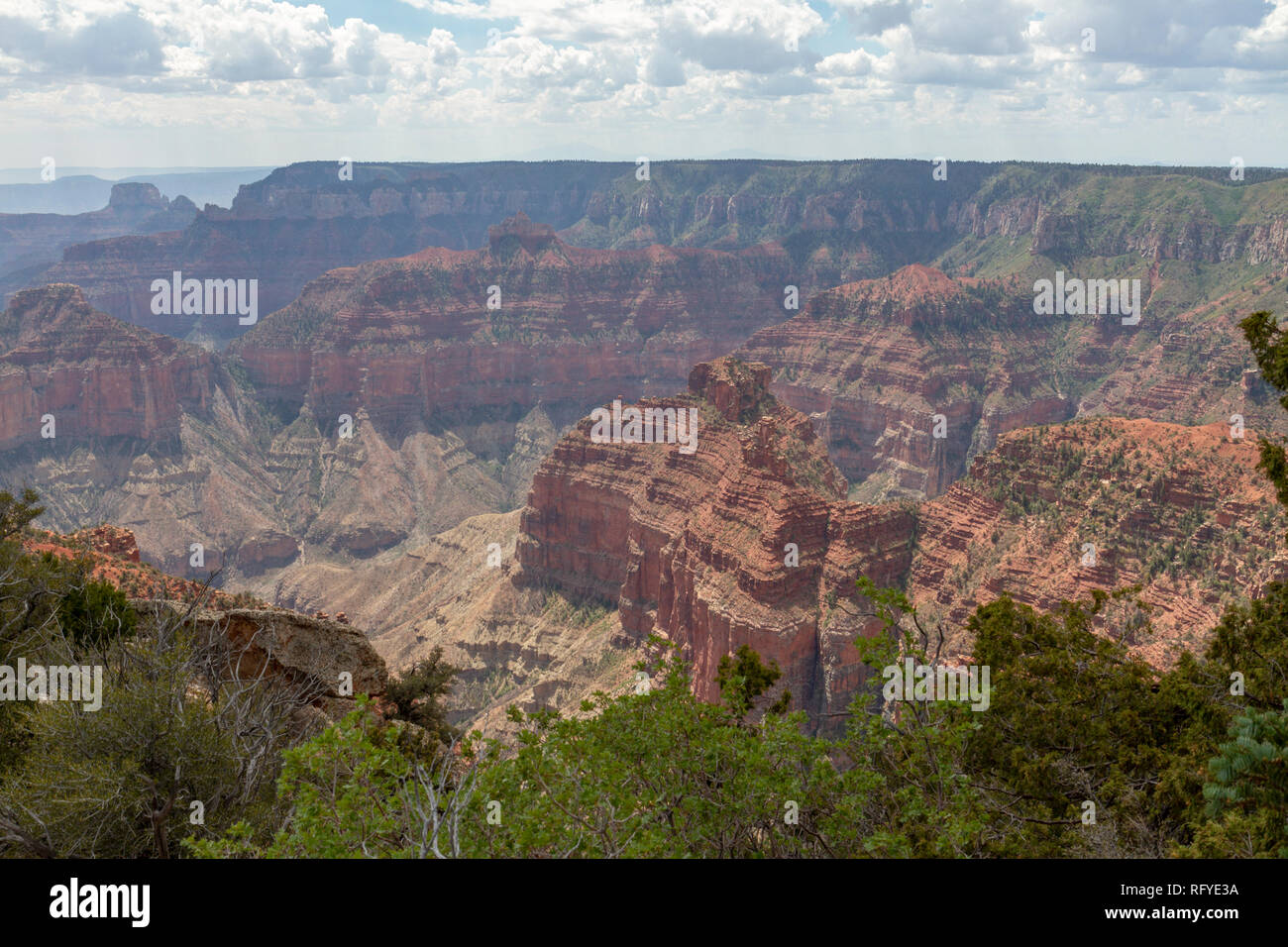 Vista desde el punto de vista Imperial (buscando aprox SE), Grand Canyon North Rim, Arizona, Estados Unidos. Foto de stock