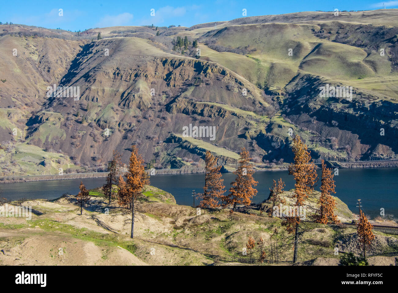 Columbia River acantilados de basalto y roca-diapositivas, junto con las dunas de arena y la pólvora quemada de Pinos Ponderosa. Foto de stock