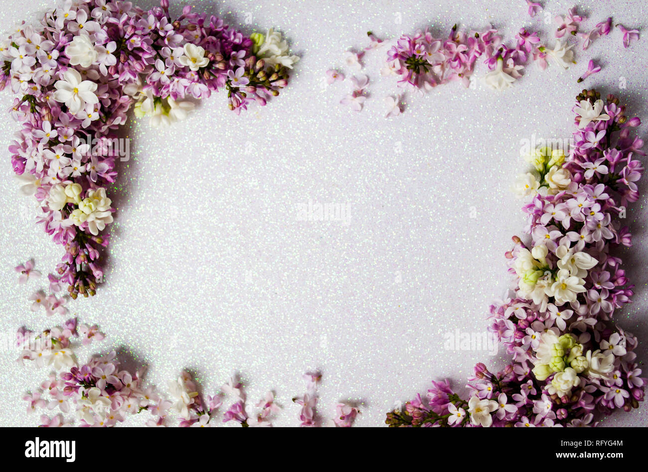 Lila y flores de primavera arreglo con vista superior del espacio de copia Foto de stock