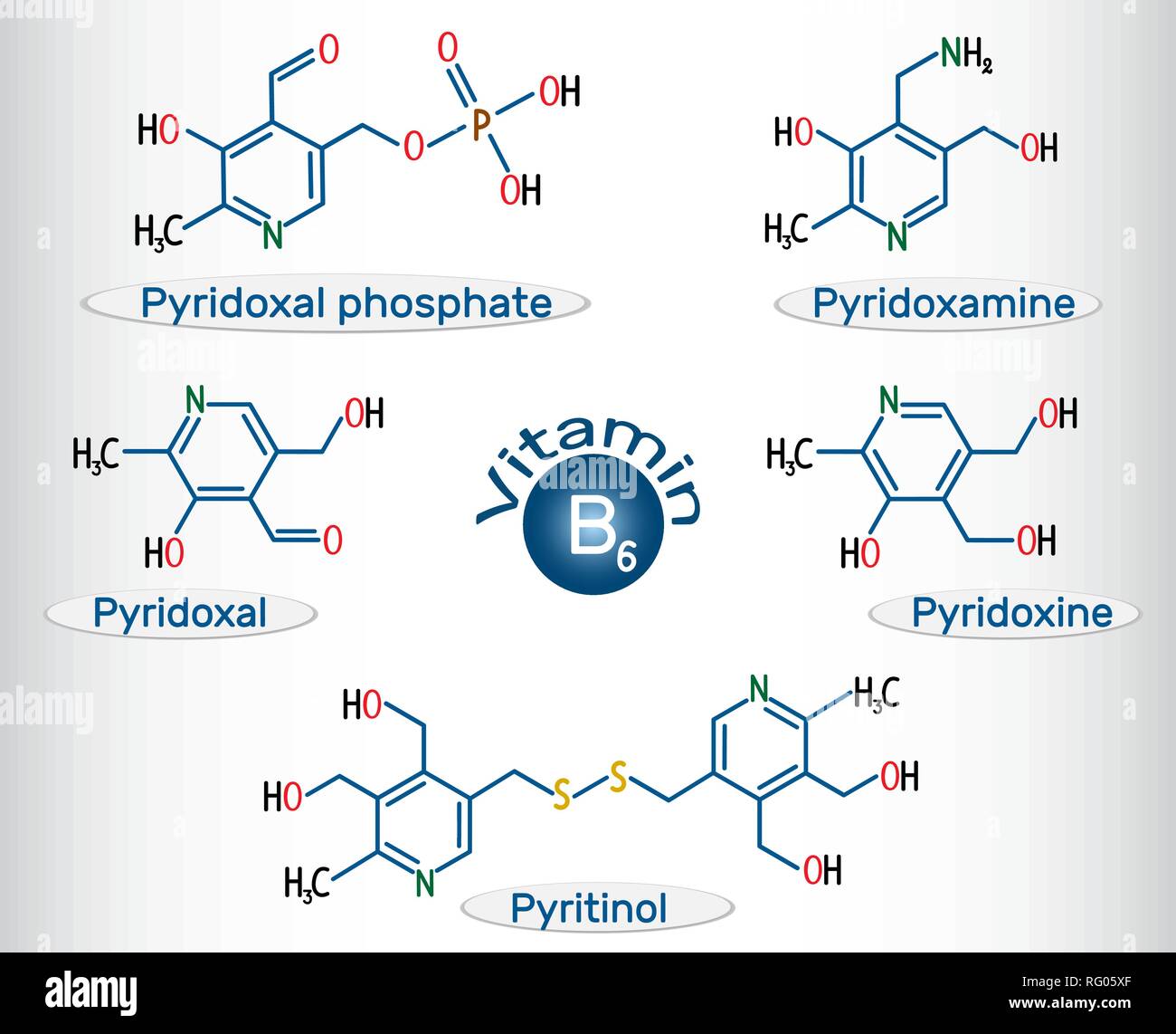 La vitamina B6 (fosfato de piridoxal, piridoxamina, piridoxal