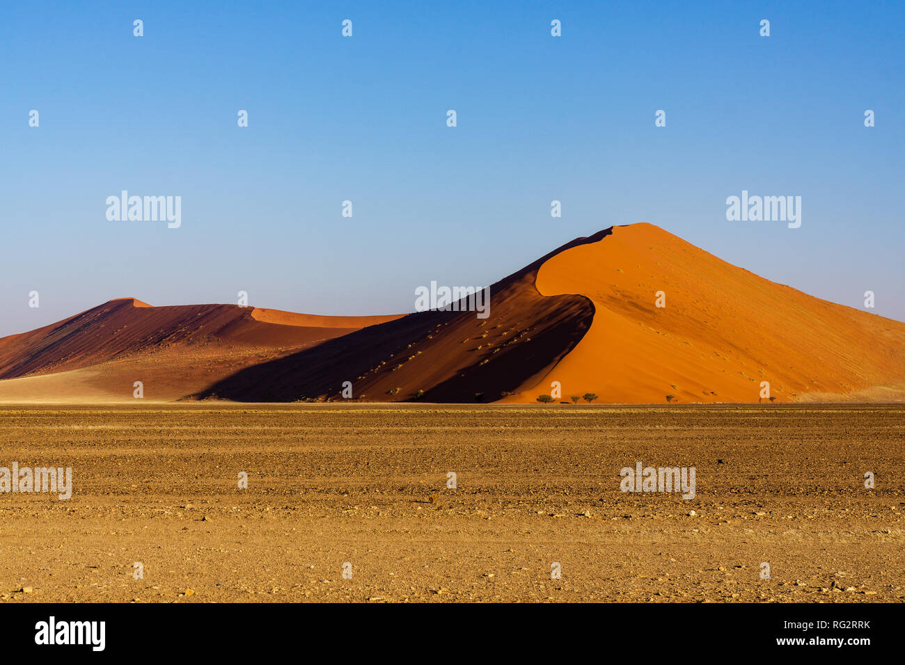 El parque Namib-Naukluft al atardecer. Borde afilado de la luz y de la sombra sobre la cresta de la duna. E l concepto de extrema y un turismo de aventura exótica Foto de stock