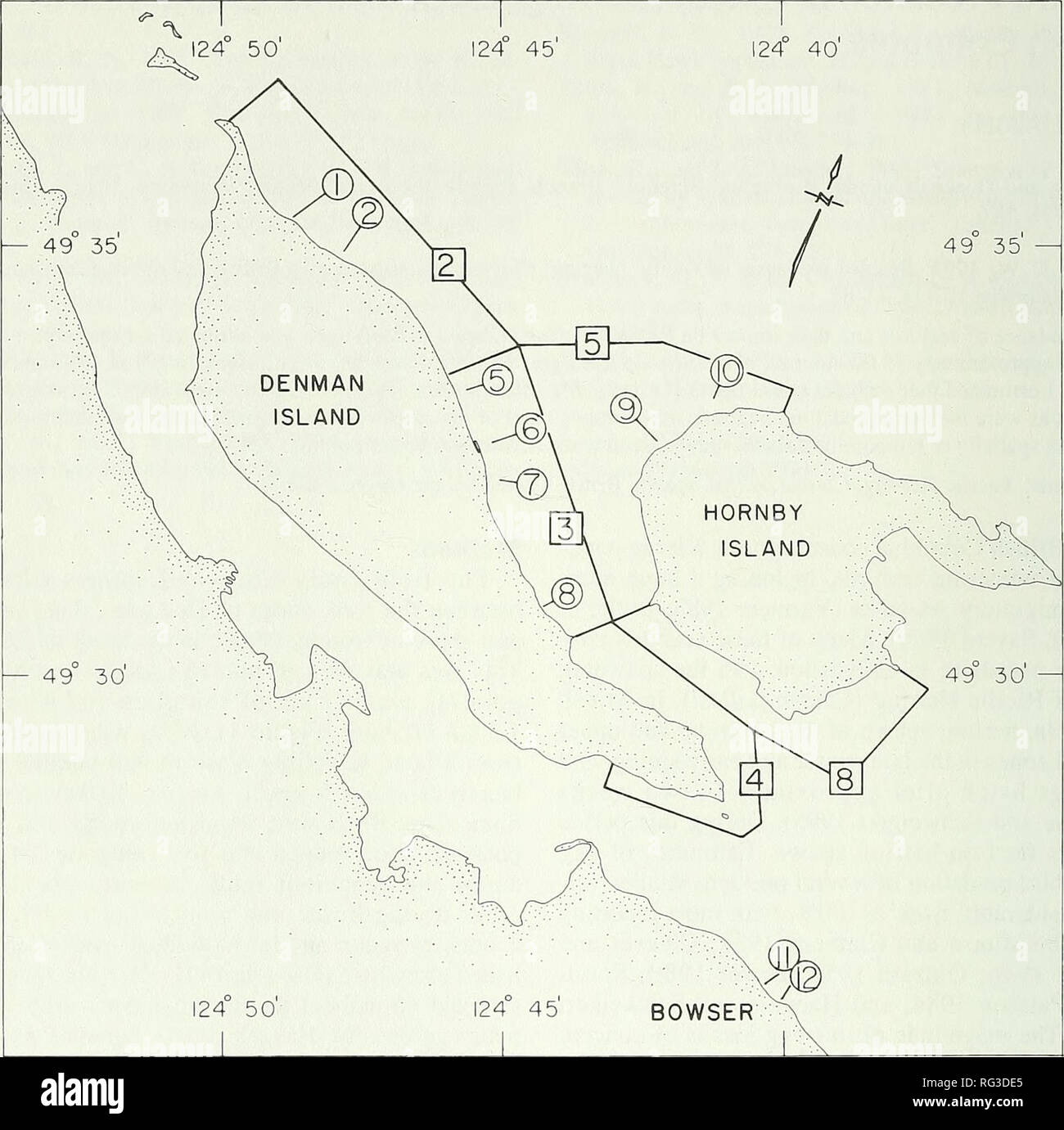. El campo canadiense-naturalista. 74 El Canadian Field-Naturalist Vol. 107. Figura 1. Área de estudio Canal Lambert mostrando sectores utilizados para conteos de aves (número de plazas) y tran- sectas utilizados para el muestreo inferior (números en círculos). progresado NW para el sector 2 y se para el sector 4. En Hornby Island comenzó en el sector 5 y se avanzó en el sector 8, así como a lo largo de la costa NE, que estaba fuera de la zona de estudio. En 1990, el arenque engendrado por un período más corto, 2-10 de marzo, y generando un promedio de sólo tres días en cualquier ubicación. La progresión de desove fue similar al de 1989, salvo que no s Foto de stock