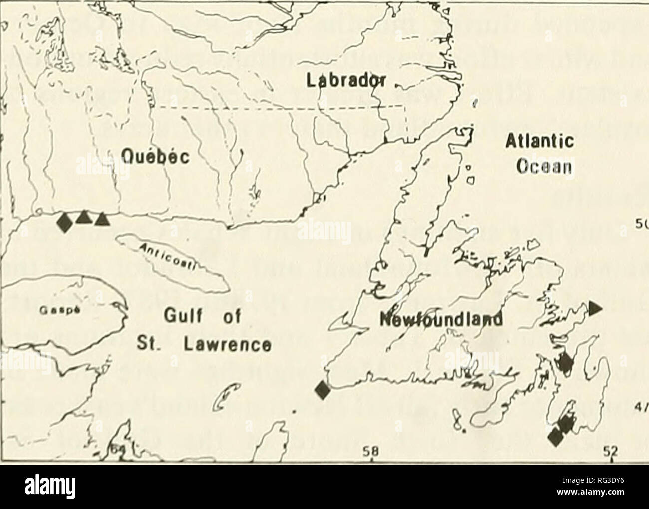 . El campo canadiense-naturalista. 92 El Canadian Field-Naturalist Vol. 103 Tabla 1. Ballena Franca (Eubalaena glacialis) avistamientos en Terranova y Labrador aguas (1978-1987). Fecha(s) visto por Latitud/Longitud Ubicación 10-21 de julio de 1978, mun1 47°05'N, 53°49'W Norman's Cove, Trinity Bay el 25 de agosto de 1979 DFO2 47°00'N, 53°45'W de la Bahía de Santa María el 6 de octubre de 1981 MICS3 50°11'N;65°06'W Sheldrake, North Shore, Quebec 17 de febrero de 1984 MUN 47°33'N;59°10'W, Puerto Cabeza Canal aux Basques 26-28 Julio 1984 MUN 46°45'N;53°38'W Peter's River, Holyrood Bay 'Memorial Universidad de Terranova. 2Departamento Canadiense de Foto de stock