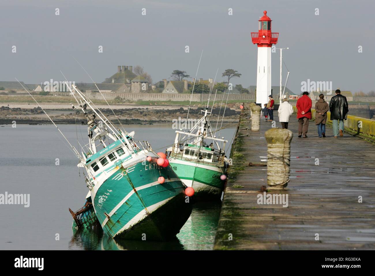 FRA, Francia, Normandía: barcos pesqueros en el puerto de Saint Vaast La Hougue, en marea baja. Detrás, la pequeña isla de Tatihou. Foto de stock