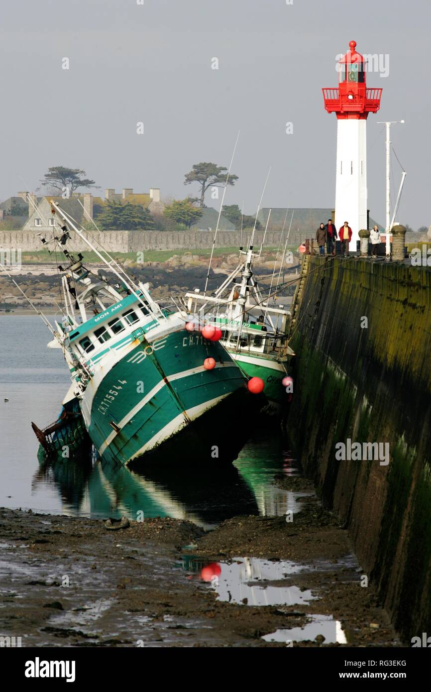 FRA, Francia, Normandía: barcos pesqueros en el puerto de Saint Vaast La Hougue, en marea baja. Detrás, la pequeña isla de Tatihou. Foto de stock