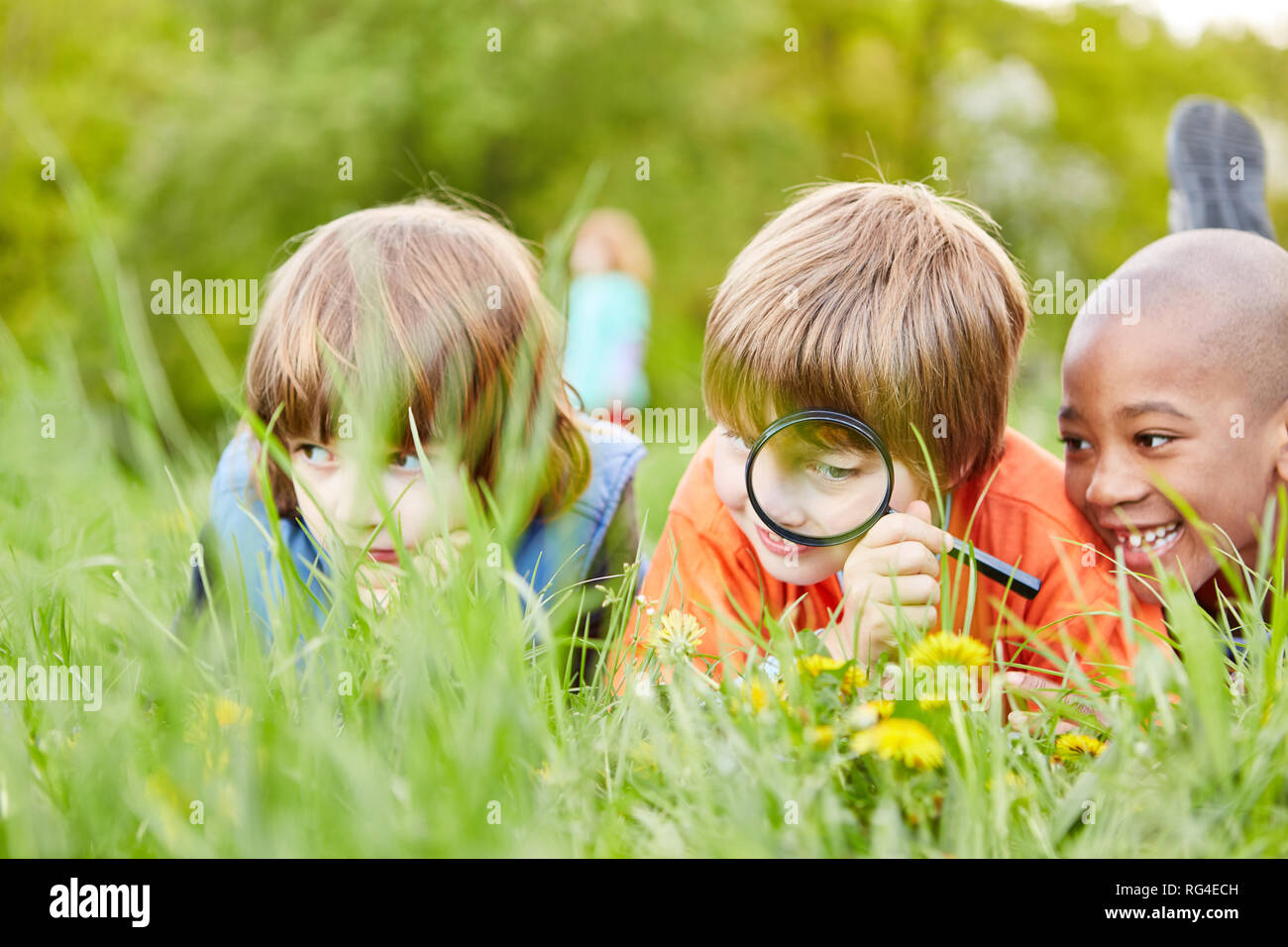 Tres niños en el pasto explorar y descubrir la naturaleza y el medio ambiente con una lupa Foto de stock