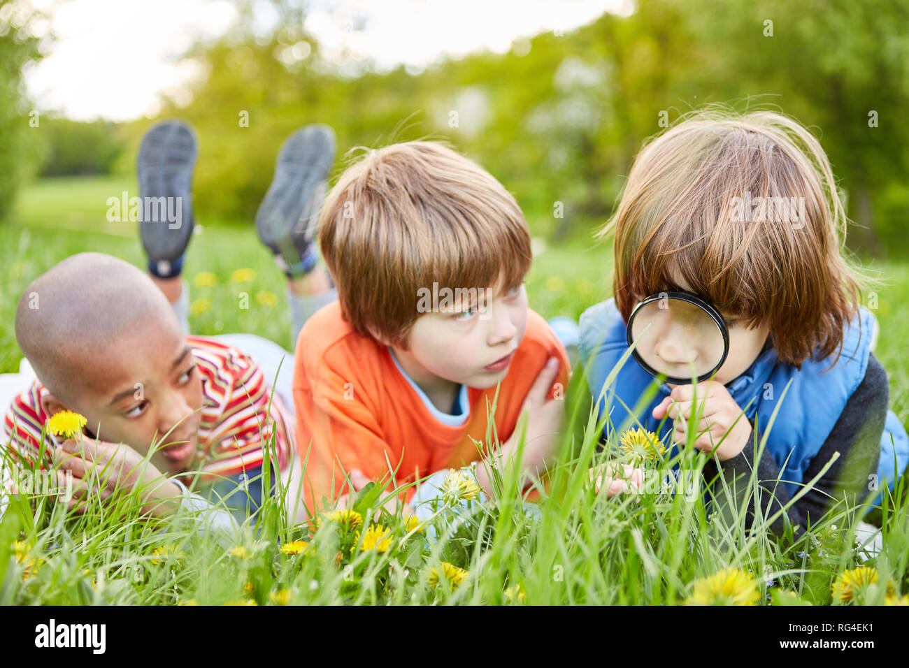 Los niños en medio de un prado explorar la naturaleza con una lupa como descubridor y explorer Foto de stock