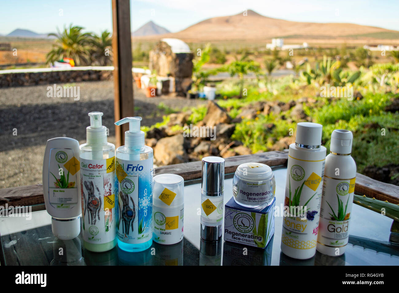 Una pantalla de muestra de productos de aloe vera en la Finca Canarias Aloe  Vera Garden Centre en Fuerteventura, Islas Canarias Fotografía de stock -  Alamy