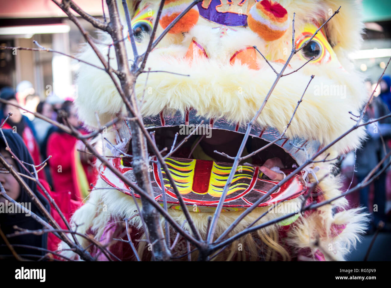 Festival de Año Nuevo Lunar chino 2017 Dragón baile y recoger dinero de la suerte Foto de stock
