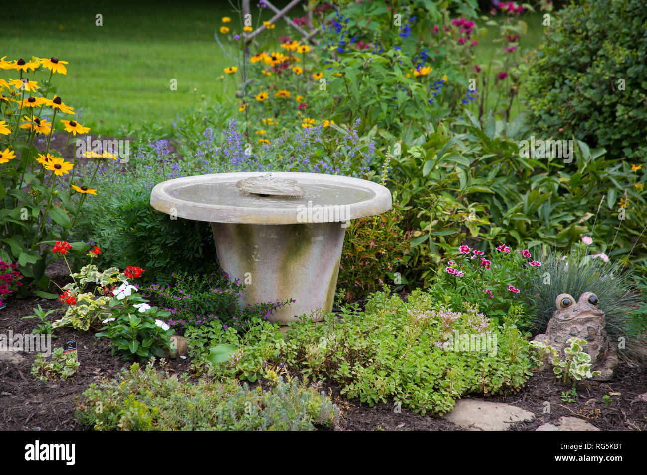 Fuente 63821-23601 en Flower Garden (Black-eyed Susans, Bee Balm, geranios) Marion Co., IL (PR) Foto de stock