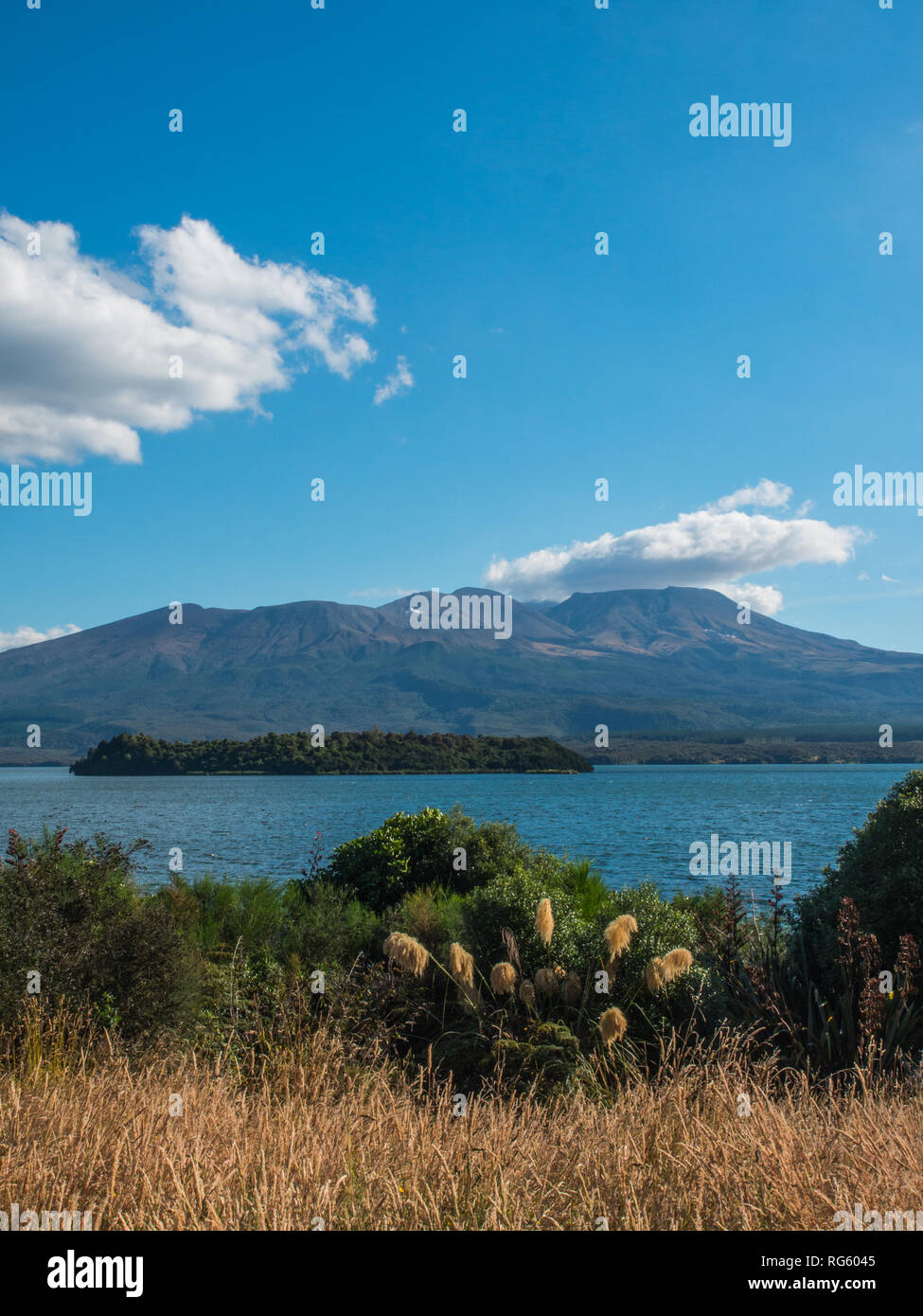 Isla Motuopuhi, visto desde Opotaka histórico sitio de asentamiento Maorí, Lago Rotoaira, Tongariro, Nueva Zelanda Foto de stock