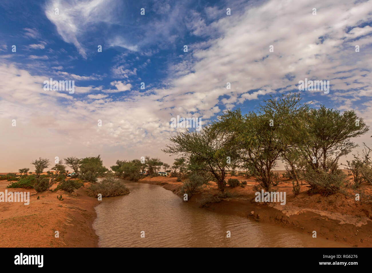 Río del desierto, Arabia Saudita Foto de stock