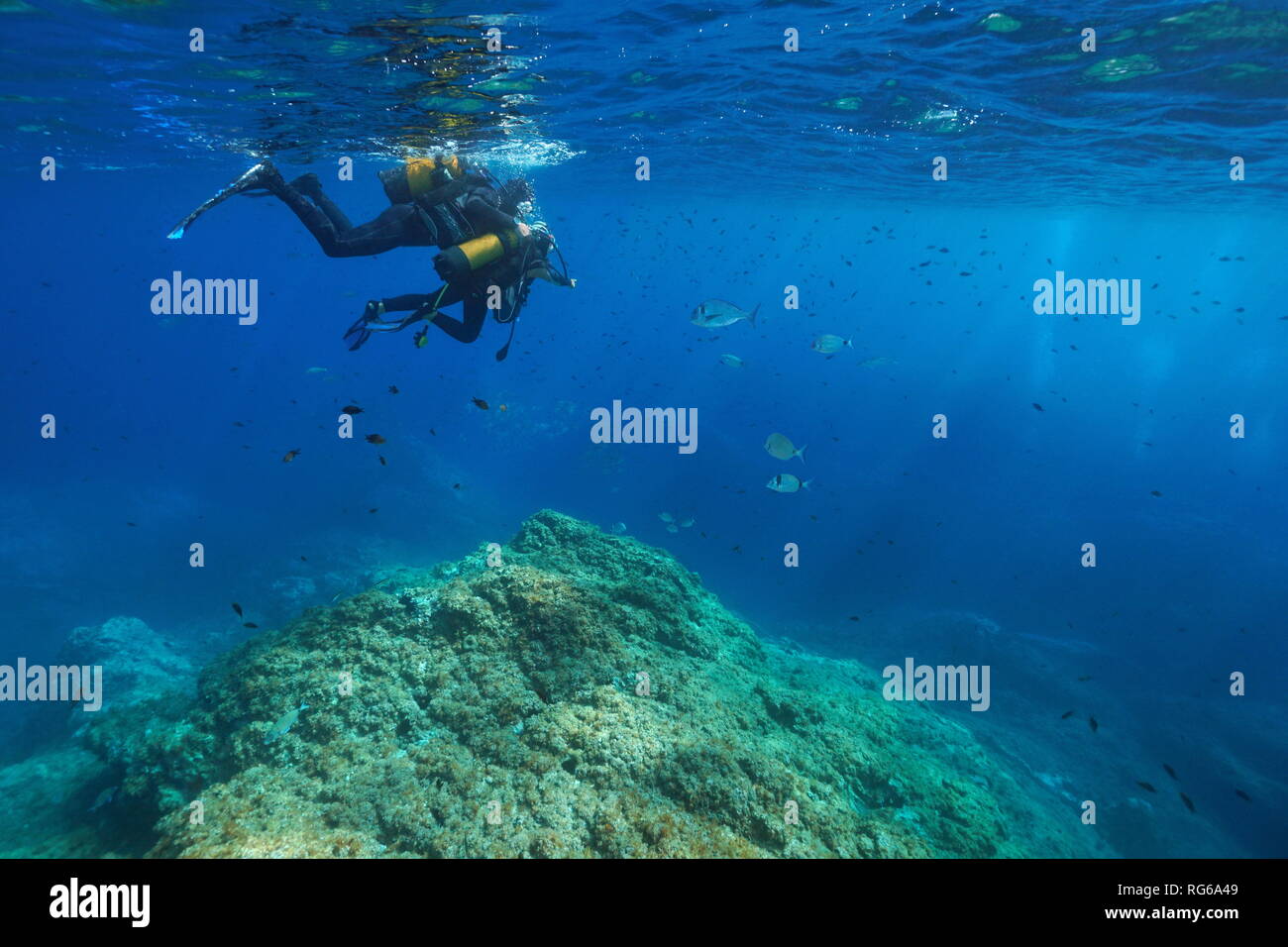Primera inmersión de buceo, un hombre y un niño mira peces bajo el agua, el mar Mediterráneo, Francia Foto de stock