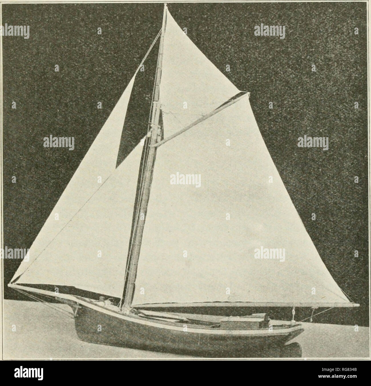 . Boletín Museo Nacional de los Estados Unidos. La ciencia. Catálogo